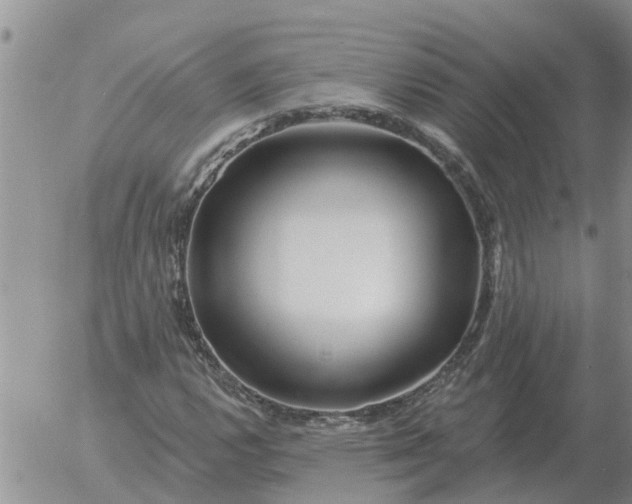 X0000055521112200509022116