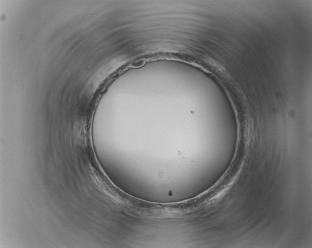 X0000055521113200509022116