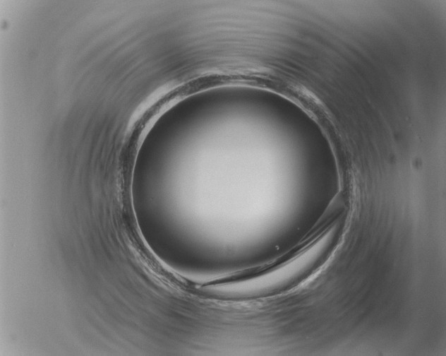 X0000055521114200509022116