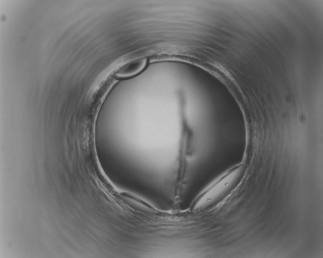 X0000055521115200509022116