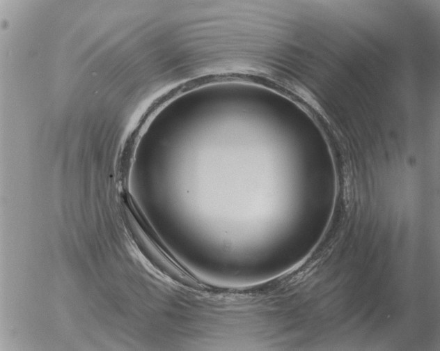 X0000055521116200509022116