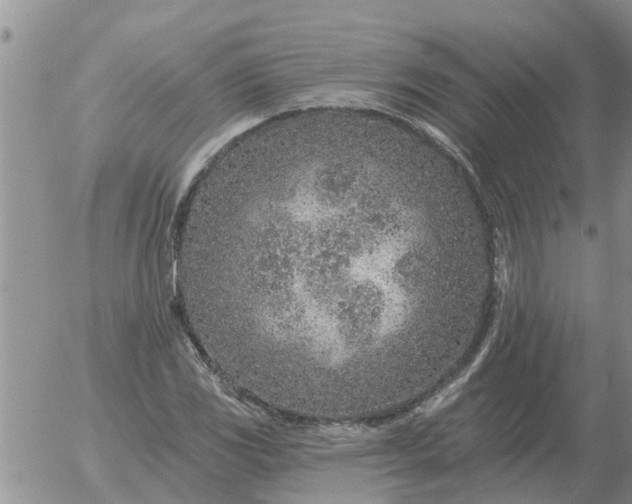 X0000055521117200509022116