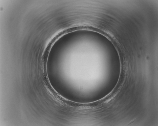 X0000055521118200509022116