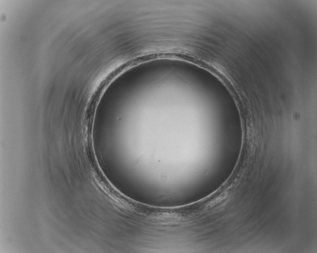 X0000055521119200509022116