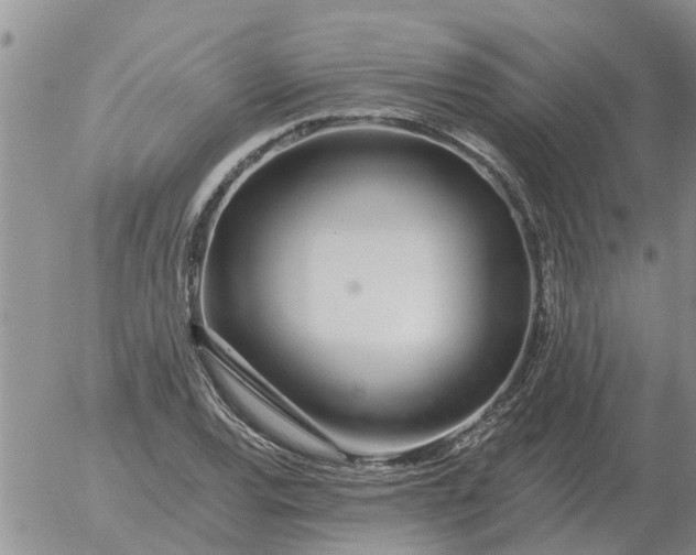 X0000055521120200509022116