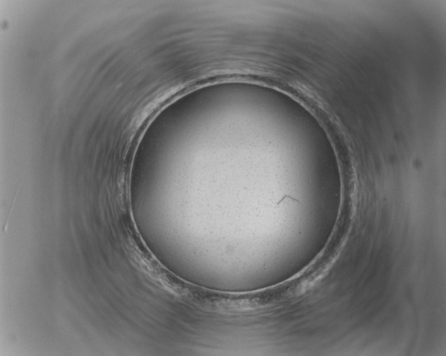 X0000055521121200509022117