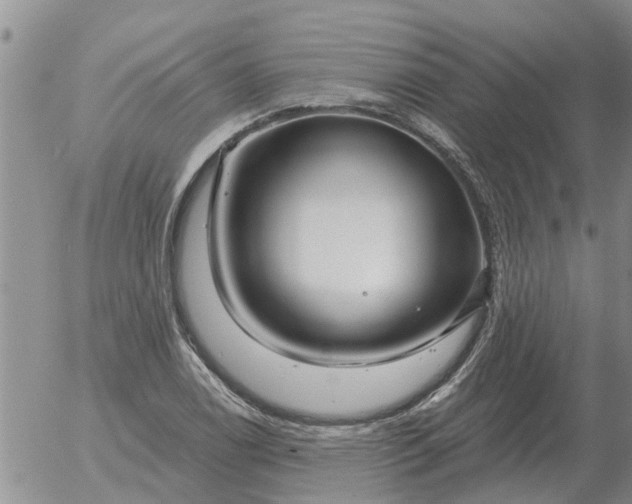 X0000055521122200509022117