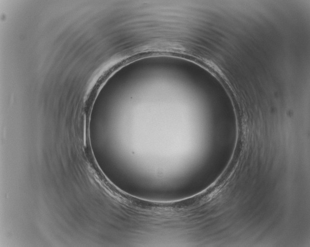 X0000055521123200509022117