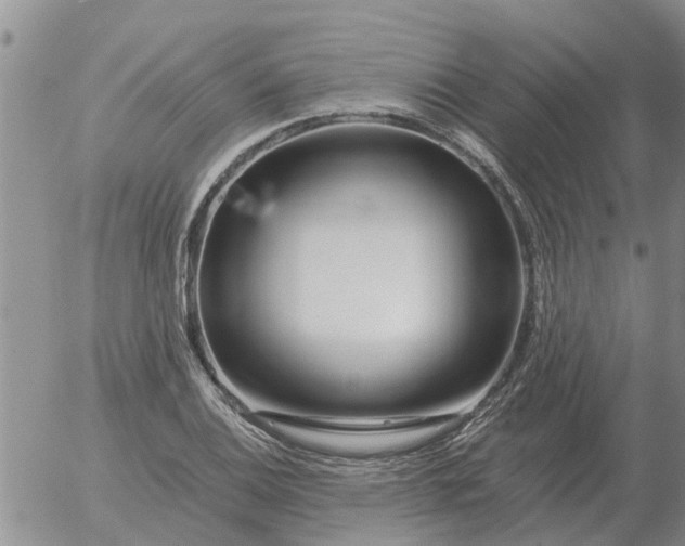 X0000055521124200509022117