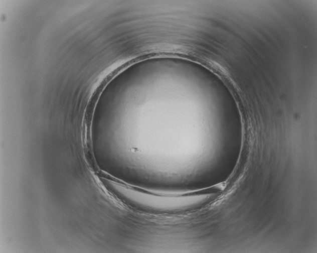 X0000055521125200509022117