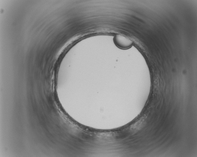 X0000055521126200509022117