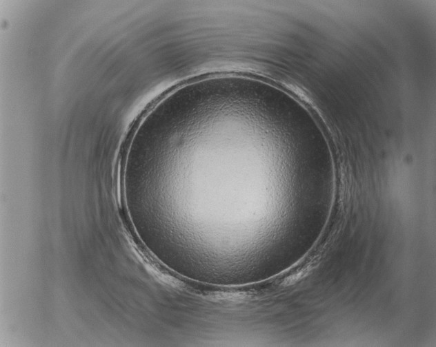 X0000055521127200509022117