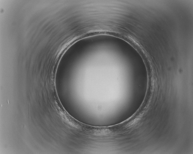 X0000055521129200509022117