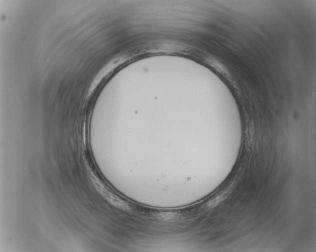 X0000055521130200509022117