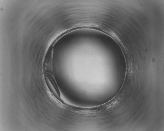 X0000055521132200509022117