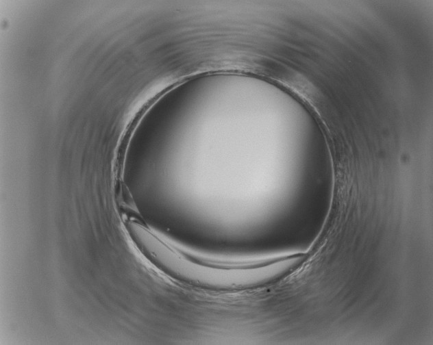 X0000055521135200509022117