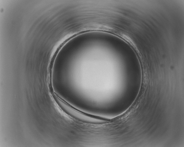 X0000055521136200509022117