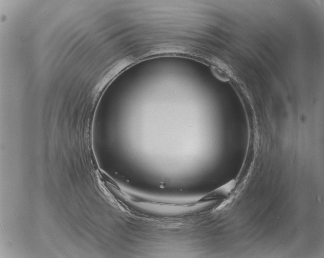 X0000055521137200509022117