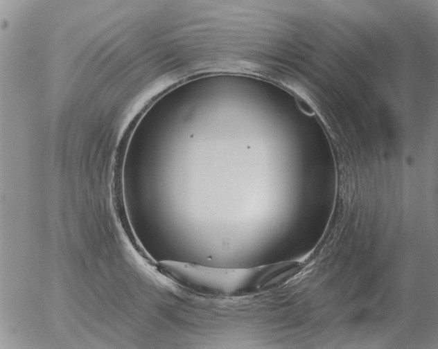 X0000055521139200509022117