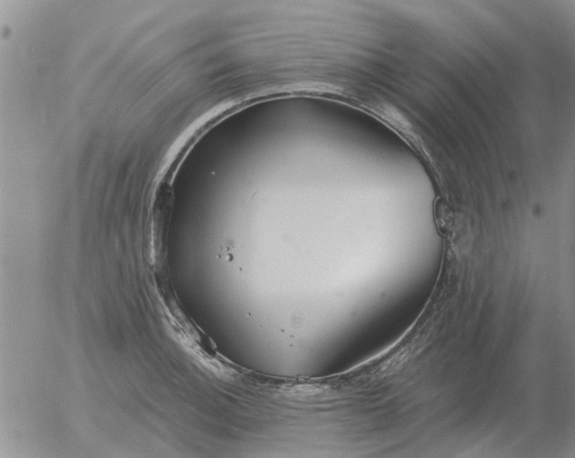 X0000055521140200509022117