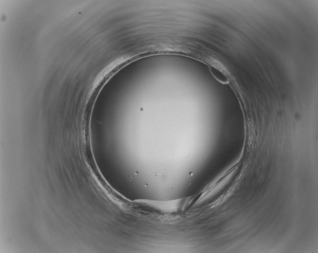 X0000055521141200509022117