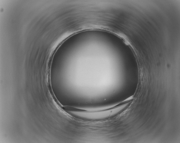 X0000055521143200509022117