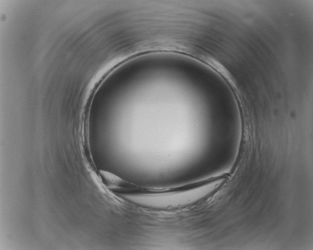 X0000055521144200509022117