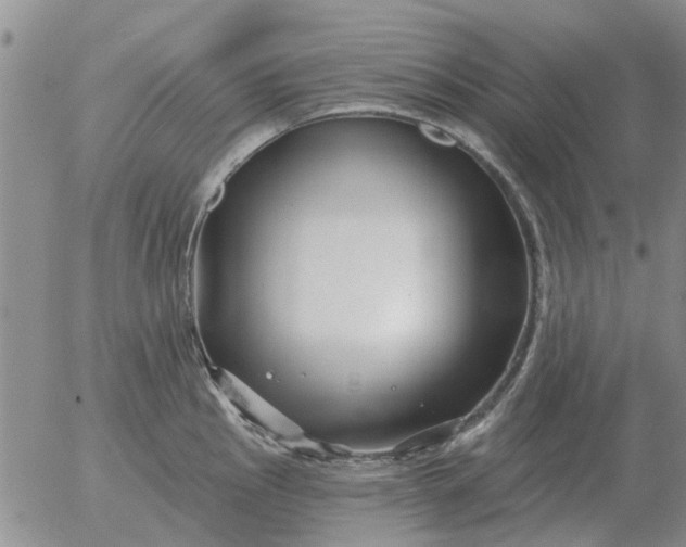 X0000055521145200509022117