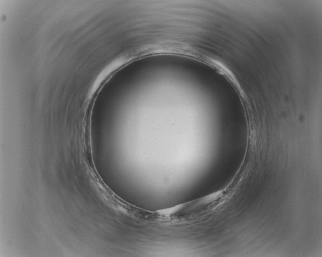 X0000055521146200509022117