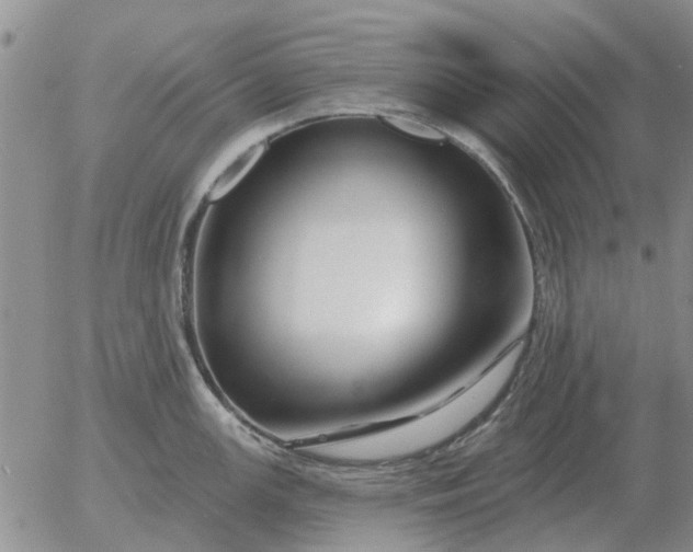 X0000055521147200509022117