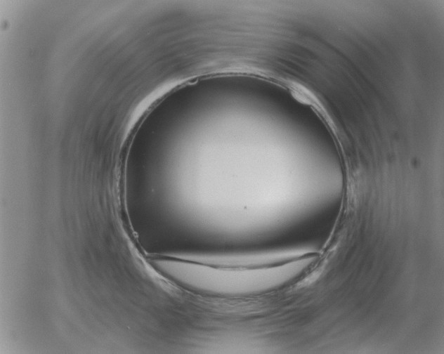 X0000055521149200509022117