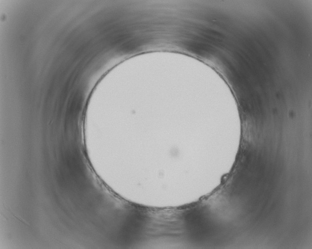 X0000055521150200509022117