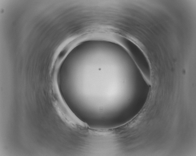 X0000055521152200509022117