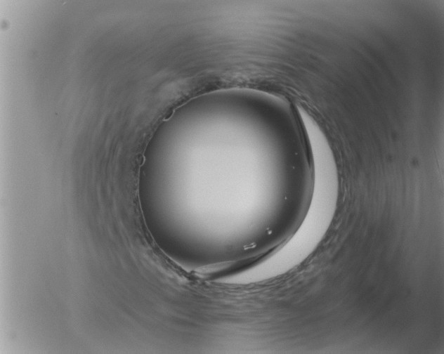 X0000055521153200509022116