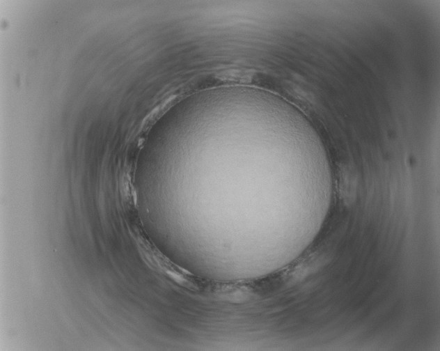 X0000055521154200509022116