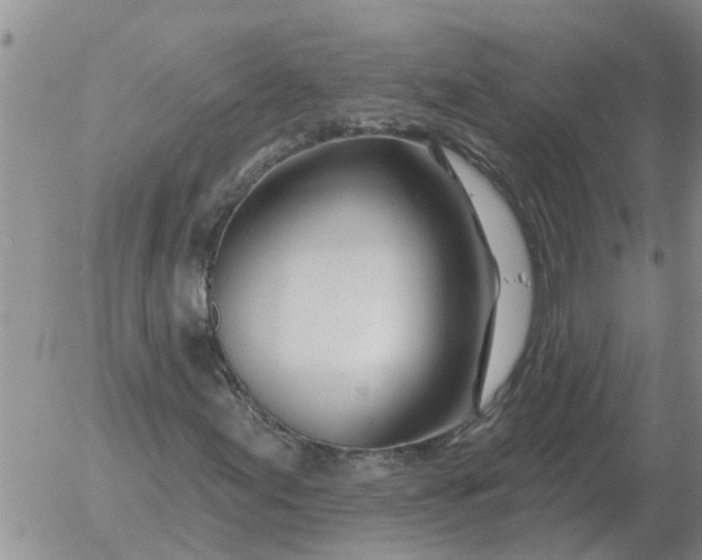 X0000055521155200509022116