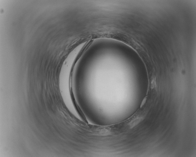 X0000055521156200509022116