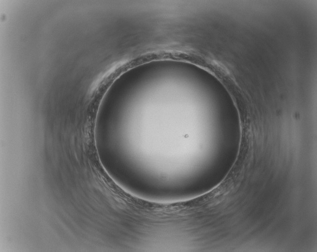 X0000055521159200509022116