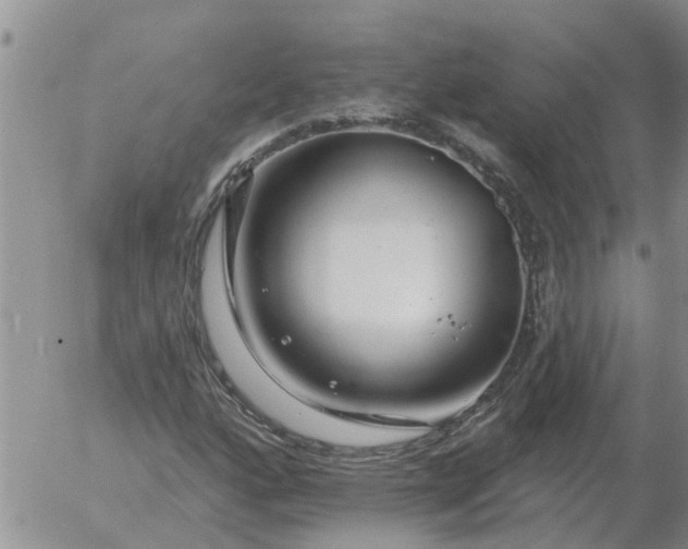 X0000055521160200509022116