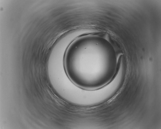 X0000055521161200509022116