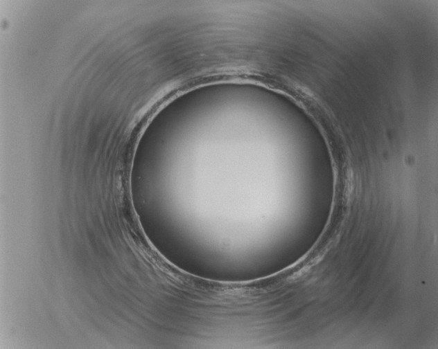 X0000055521162200509022116