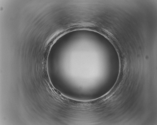 X0000055521163200509022116