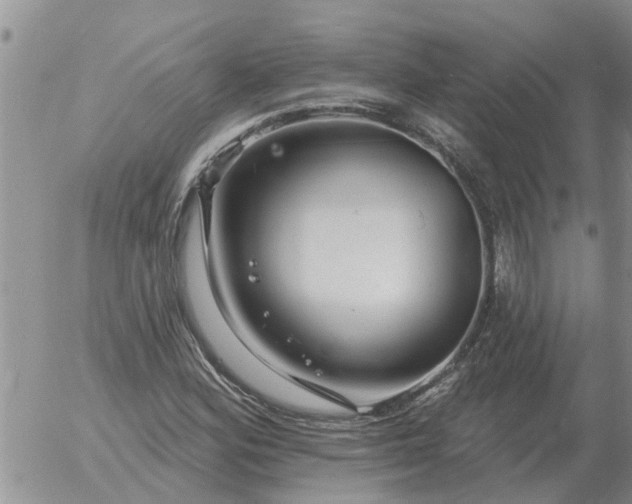 X0000055521164200509022116