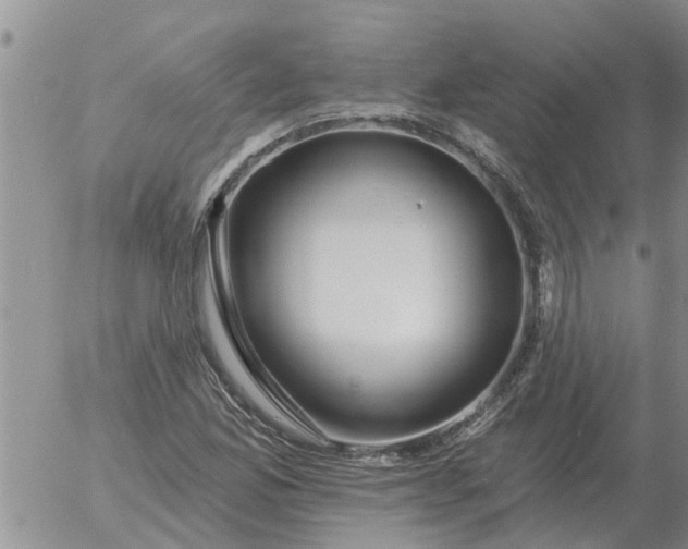 X0000055521165200509022116