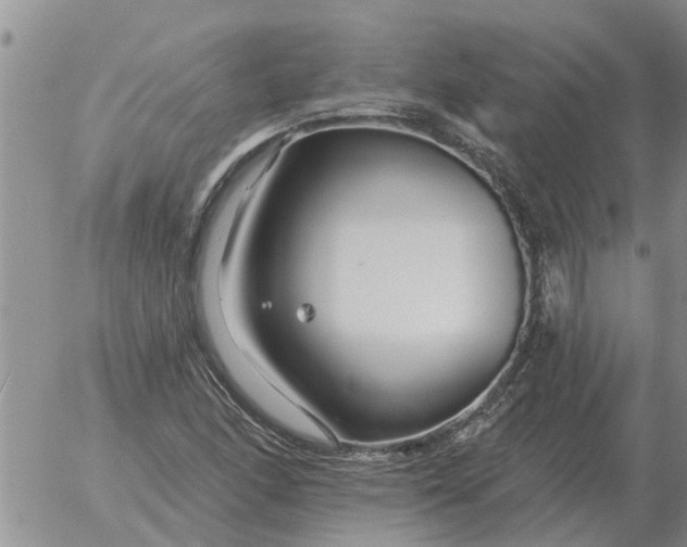 X0000055521166200509022116