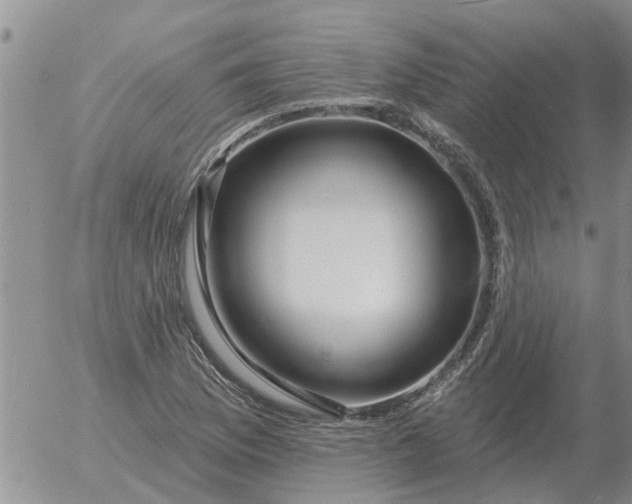 X0000055521169200509022116