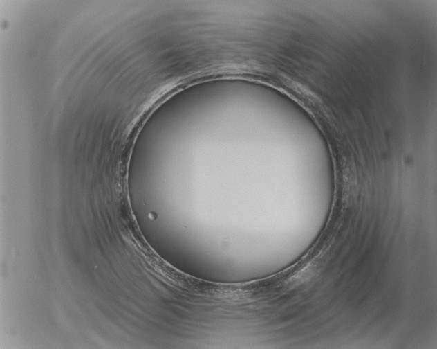 X0000055521170200509022116