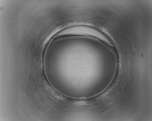 X0000055521173200509022116