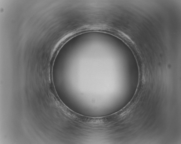 X0000055521174200509022116