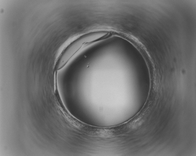 X0000055521175200509022116